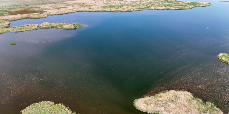 Su seviyesi düşen Eber Gölü'nde kaçak kullanım yılda 22 milyon ton