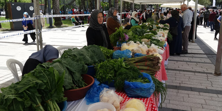 Trabzon'da Ot Festivali ile turizme katkı