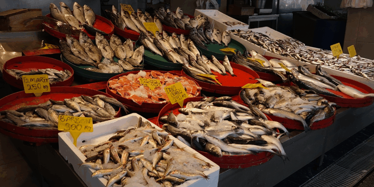 Trabzon'da av sezonu sona erdi; bereket bitmedi