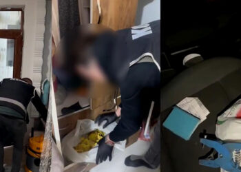 Usulsüz hayvan sevk belgesi düzenleyenlere operasyon: 9 gözaltı
