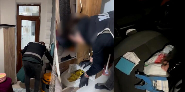 Usulsüz hayvan sevk belgesi düzenleyenlere operasyon: 9 gözaltı