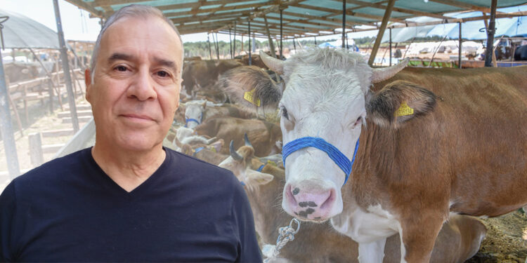 Uzmanından 'İnternetten kurbanlık alırken dolandırılmayın' uyarısı