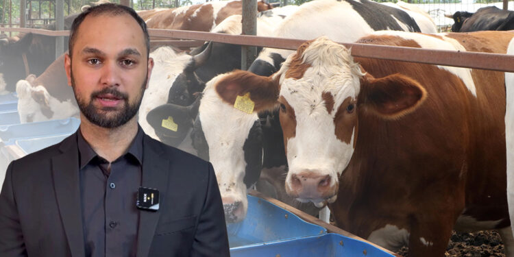 Uzmanından sahte kurban bağış sitelerine karşı uyarı