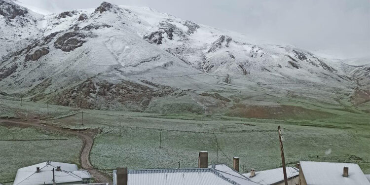 Van'da yüksek kesimlere Mayıs karı