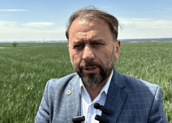 Yağmur yağmazsa Trakya'da tarihin en büyük kuraklığı yaşanacak
