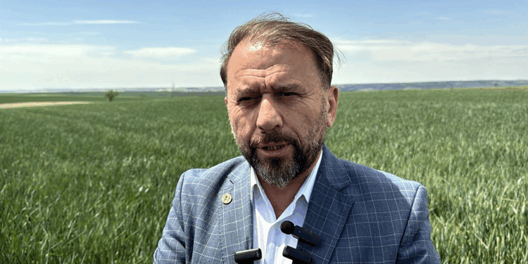 Yağmur yağmazsa Trakya'da tarihin en büyük kuraklığı yaşanacak