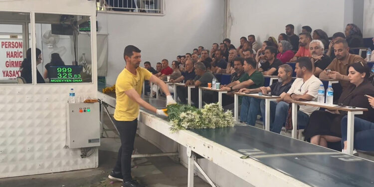 Yalova'da çiçek mezadında 'Anneler Günü' yoğunluğu