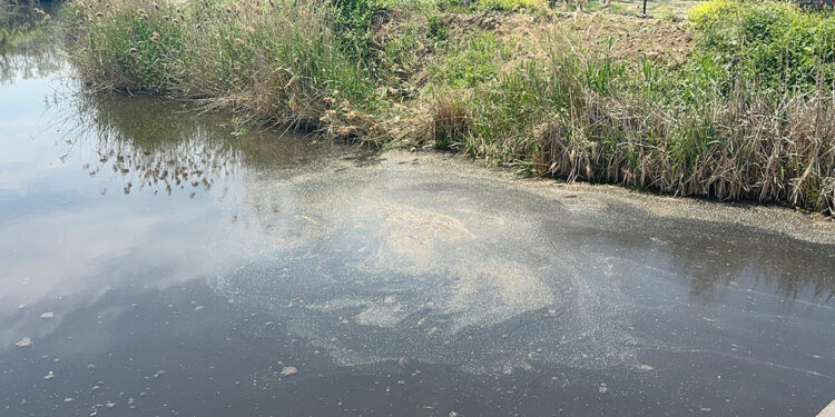 Yalova'da kanalizasyon suyu denize aktı, YASKİ'ye ceza yazıldı