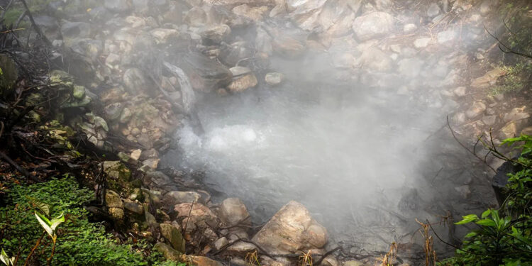 Yanardağlar patlamadan önce ağaçlar sinyal veriyor