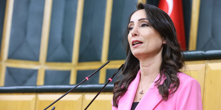 Yeni sürecin çözüm adresi Meclis'tir 