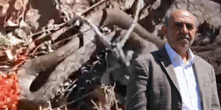 Yılanlar ekosistemin vazgeçilmez öğeleri