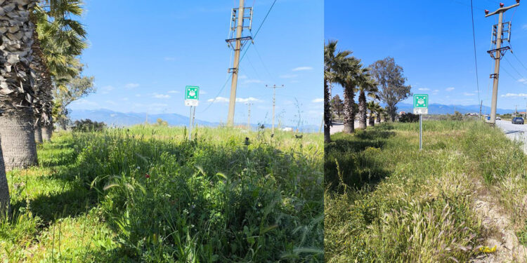 Burhaniye'de tartışmalı toplanma alanı