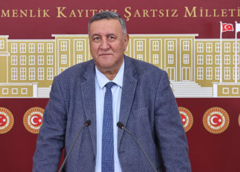 2024'te resmi verilere göre 4.484 hayvan telef oldu!