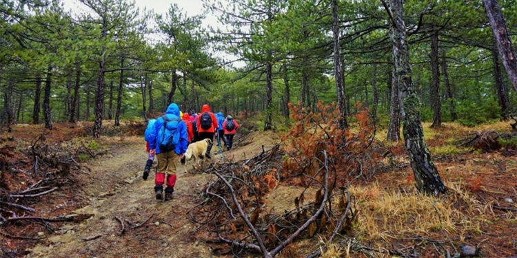 Yangın riskini en aza indirmek amacıyla Eskişehir’de ormanlara girişler yasaklandı