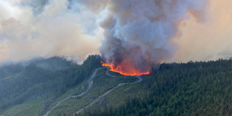 Kanada'da orman yangınları nedeniyle 17 bin kişi tahliye edildi