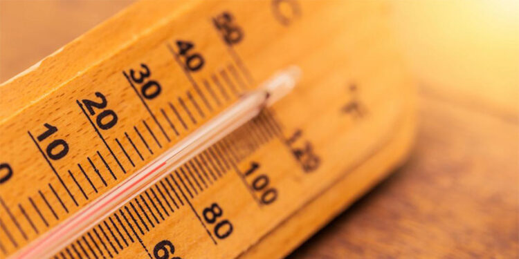 WMO'dan korkutan uyarı; 5 yıl boyunca sıcaklıkların rekor seviyelerde olacak