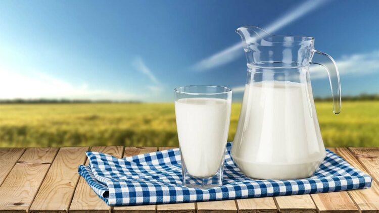 Yeterli ve dengeli beslenmede süt ve süt ürünlerinin önemli bir yeri var
