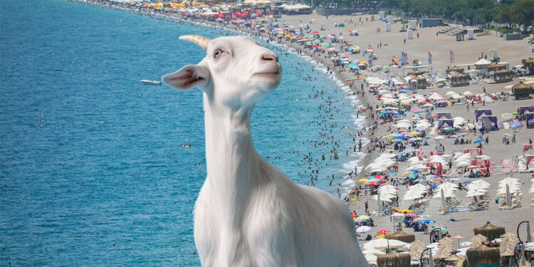 Kurban Bayramı tatili 9 gün olacak mı?