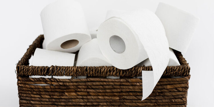 Medeniyetin ince çizgisi: Tuvalet kağıdı