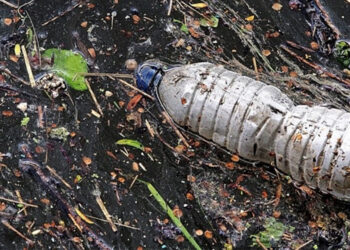 Plastik kirliliğine karşı en yenilikçi çözüm ‘’Biyo-transformasyon’’ Türkiye’de