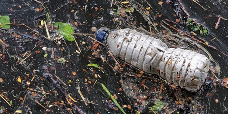 Plastik kirliliğine karşı en yenilikçi çözüm ‘’Biyo-transformasyon’’ Türkiye’de