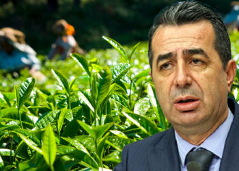 Çay üreticisine müjde değil adalet gerekiyor