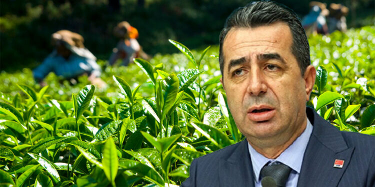 Çay üreticisine müjde değil adalet gerekiyor