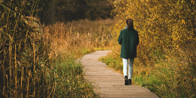 Artık kanmam: Uzun yolun öğrettikleri