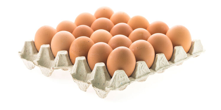 Sofralık yumurta ihracatına muafiyet düzenlemesi