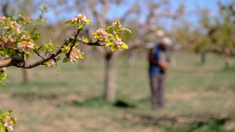 6 bin 500 üreticiye “Başkent Çiftçi Kart”