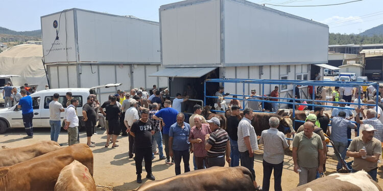 Büyükşehir’den bayramda güvenli ve hijyenik kesim hizmeti 