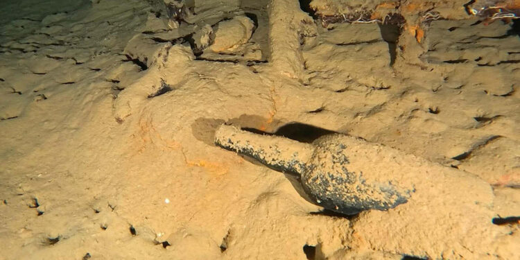 110 yıllık şarap şişesi gün yüzüne çıkarıldı