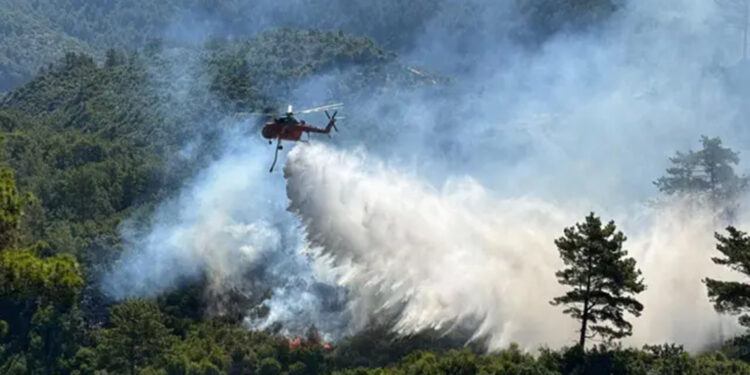 2 günde 111 yangın çıktı, 106'sı kontrol altına alındı