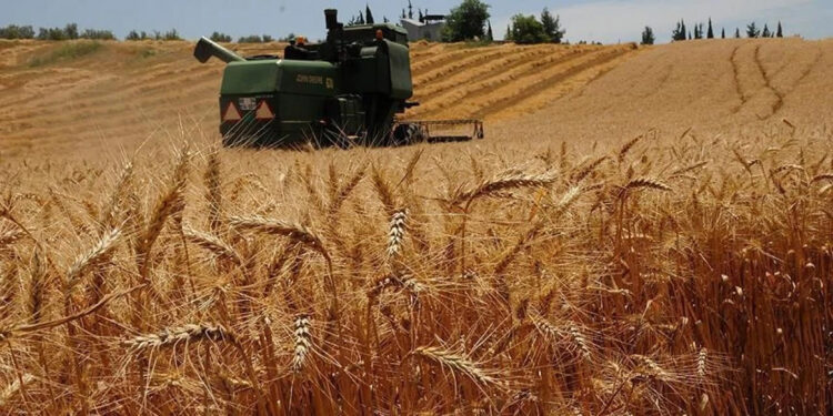 2025 yılı hububat alım fiyatları belli oldu