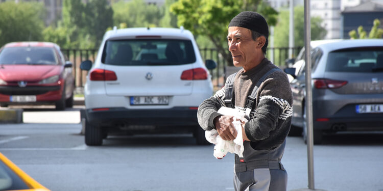 81 ilde kurban kesimi sırasında 14 bin 372 kişi yaralandı