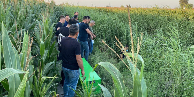 Dere yatağındaki sazlıkta erkek cesedi bulundu