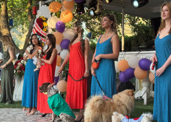 Ankara'da engelli hayvanlar için defile
