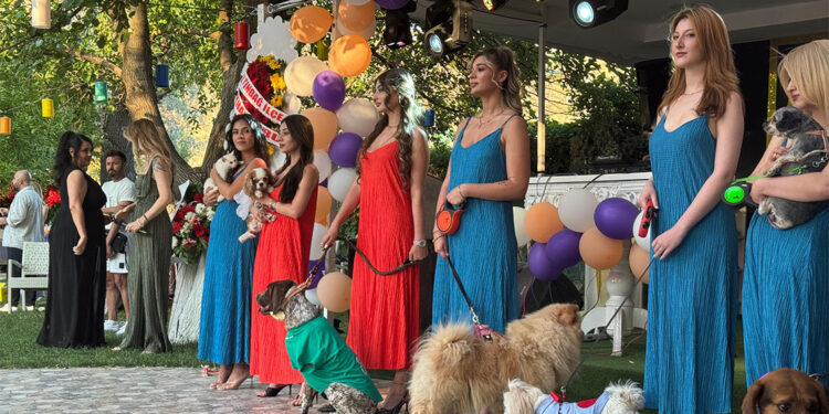 Ankara'da engelli hayvanlar için defile