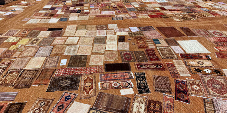 Antalya'da araziler halı tarlasına dönüşüyor