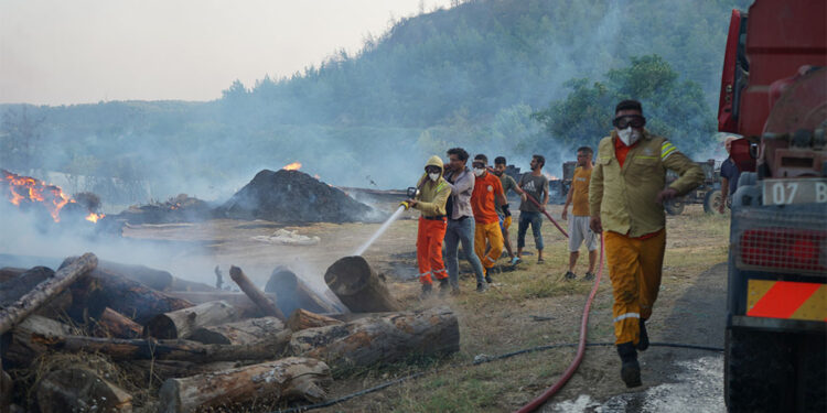 Antalya Gazipaşa'da orman yangını!