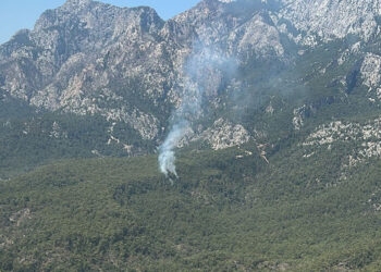 Antalya'da Milli Park sahasında orman yangını