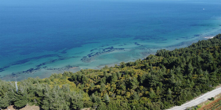 Şehidlersırtı Destanı, Çanakkale Savaşları'nın şiddetini yansıtıyor