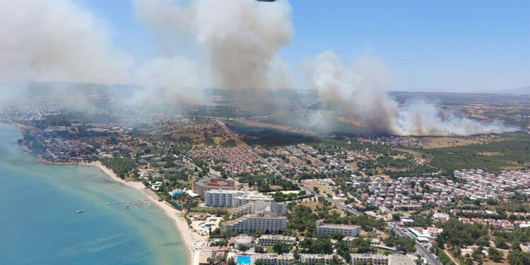 Didim'de maki yangını