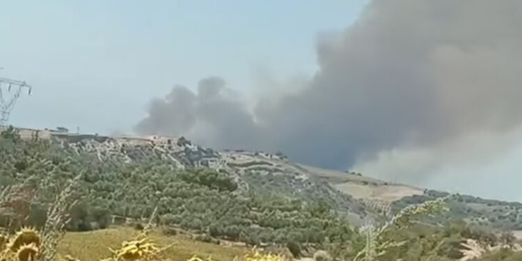 Adana'nın Çukurova ilçesinde orman yangını çıktı