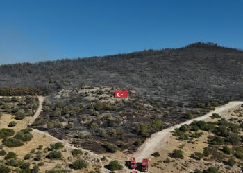 Aliağa'da yanan alanlar havadan görüntülendi