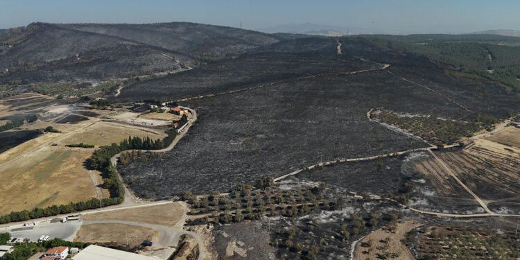 Aliağa'daki orman yangını 21 saatte kontrol altına alındı