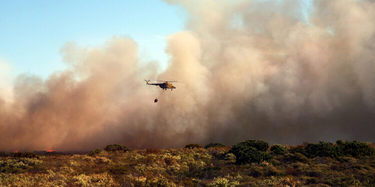 Almanya'daki orman yangını felaketi kontrol altına alındı