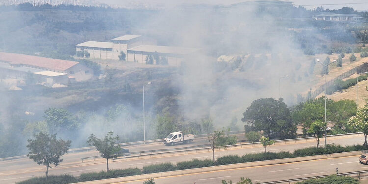 Ankara'da AOÇ arazisinde örtü yangını