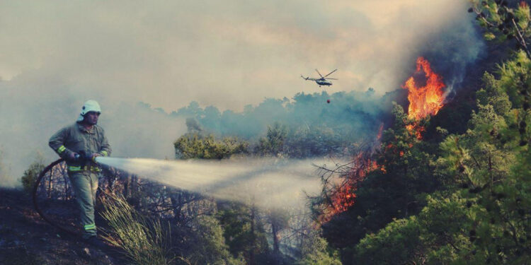 Ankara'da orman yangınlarına karşı 'açık ateş' yasağı