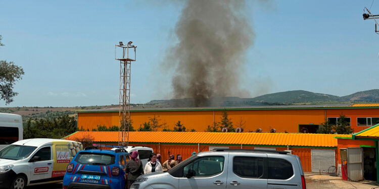 Ankara'da yumurta tesisinde yangın; 150 bin tavuk öldü